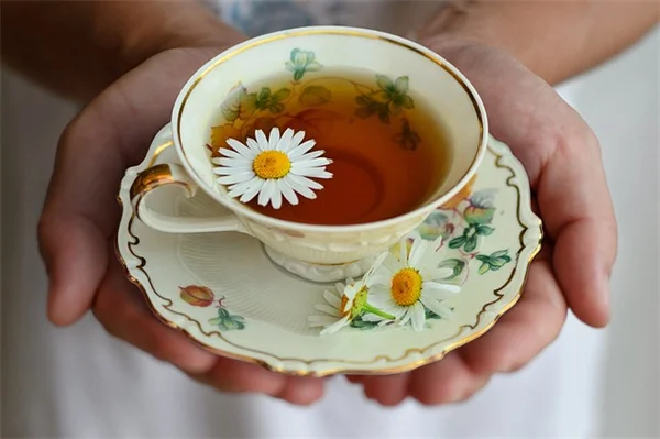 10月の芝生管理、必ずやるべき7つのタスク