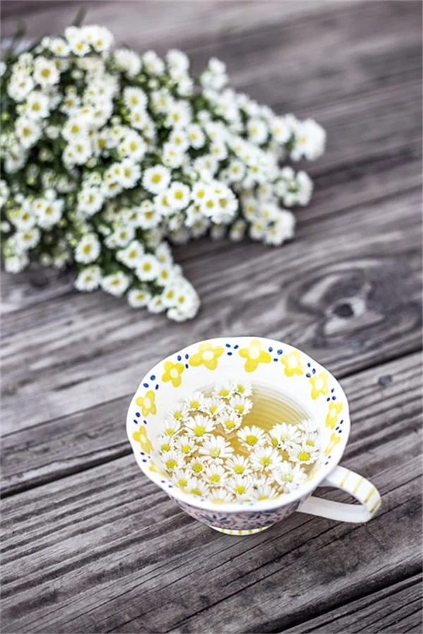 Aromasイチゴの育て方！初心者でも失敗しない栽培のコツ