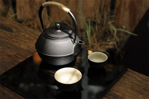幸運を呼ぶ植物5選｜私が実践してわかった本当の効果と育て方のコツ